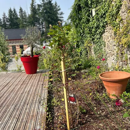 Domaine Du Cret Amplepuis
